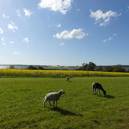 Fischerhaus 度假居 *